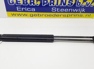 Gasveer kofferruimte FIAT GRANDE PUNTO (199_), FIAT PUNTO (199_), FIAT PUNTO EVO (199_), ABARTH GRANDE PUNTO