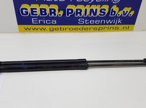 Bootlid (Tailgate) Gas Strut Spring NISSAN QASHQAI II SUV (J11, J11_)