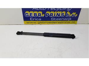 Bootlid (Tailgate) Gas Strut Spring FORD KA (RU8)