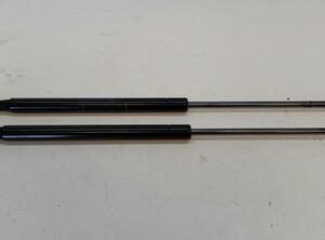 Bootlid (Tailgate) Gas Strut Spring FIAT PUNTO (199_), FIAT PUNTO EVO (199_), FIAT GRANDE PUNTO (199_)