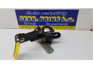 Bonnet Hinge RENAULT Clio III (BR0/1, CR0/1), RENAULT Clio IV (BH), RENAULT Clio II (BB, CB)