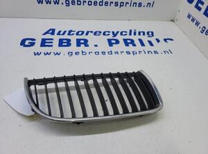 Radiateurgrille BMW 3 (E90)