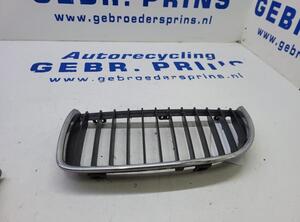 Radiator Grille BMW 3 (E90)