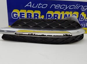 Bumper Ventilation Grille MERCEDES-BENZ C-Klasse (W204), MERCEDES-BENZ C-Klasse T-Model (S204)