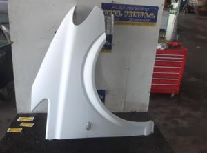 Spatbord MERCEDES-BENZ VITO / MIXTO Van (W639)