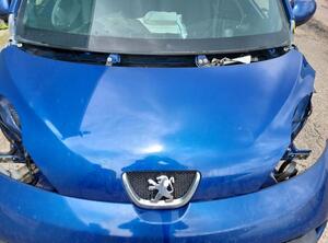 Motorkap PEUGEOT 107 (PM_, PN_)