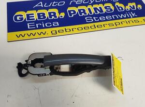 Door Handle SEAT Altea (5P1), SEAT Altea XL (5P5, 5P8), SEAT Toledo III (5P2)