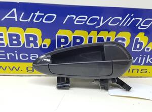 Door Handle FIAT Grande Punto (199), FIAT Punto Evo (199), FIAT Punto (199)