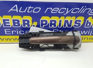 Door Handle VW Tiguan (5N)