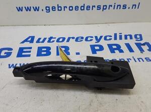 Door Handle HYUNDAI i10 (AC3, AI3)