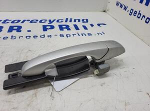 Door Handle FIAT Freemont (345), DODGE Journey (--)