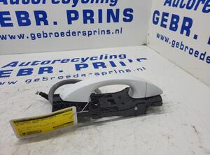 Door Handle VW Golf VII (5G1, BE1, BE2, BQ1)