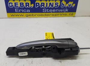 Door Handle RENAULT Captur I (H5, J5), RENAULT Clio IV (BH)