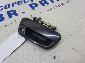 Door Handle CHEVROLET Spark (M300)