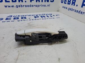 Door Handle VW POLO (6R1, 6C1), VW POLO Van (6R)