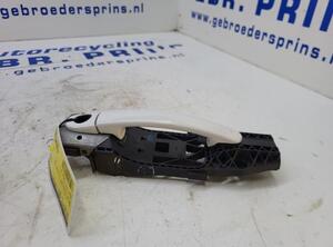 Door Handle VW POLO (6R1, 6C1), VW POLO Van (6R)