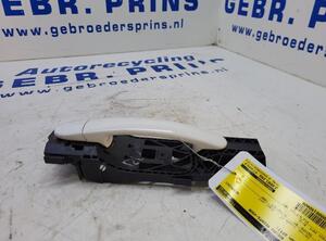 Door Handle VW POLO (6R1, 6C1), VW POLO Van (6R)