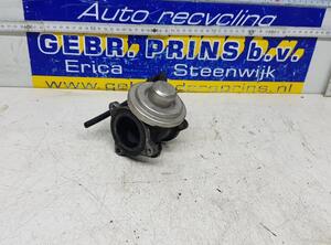 EGR Valve VW Polo (9N)