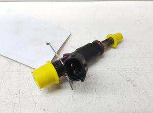 Injector Nozzle RENAULT Twingo III (BCM)