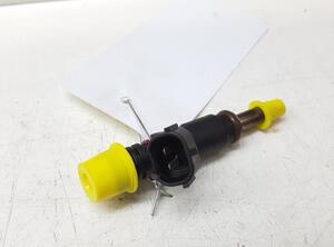 Injector Nozzle RENAULT Twingo III (BCM)