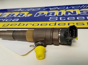 Injector Nozzle PEUGEOT 308 SW II (LC_, LJ_, LR_, LX_, L4_)