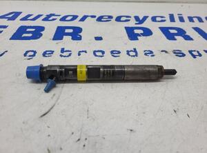 Injector Nozzle RENAULT Clio III (BR0/1, CR0/1)