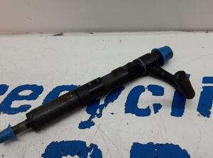 Injector Nozzle RENAULT Clio III (BR0/1, CR0/1)