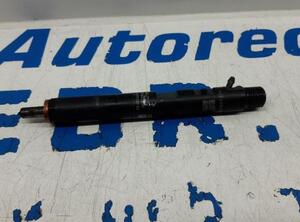 Injector Nozzle RENAULT Clio II (BB, CB)