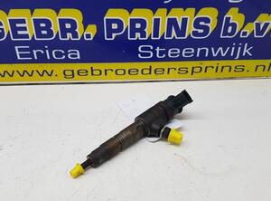 Injector Nozzle FORD FIESTA VI (CB1, CCN)