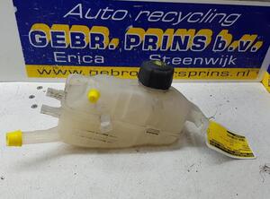 Coolant Expansion Tank RENAULT MEGANE III Grandtour (KZ0/1)