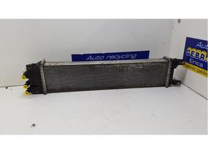 Radiateur FORD Mondeo IV Turnier (BA7), FORD Mondeo V Turnier (--)