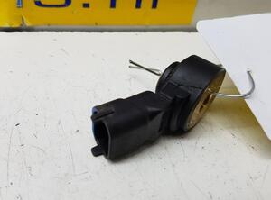 Knock Sensor PEUGEOT 107 (PM, PN)