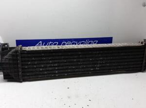 Intercooler FORD Focus C-Max (--), FORD C-Max (DM2), FORD Kuga I (--), FORD Kuga II (DM2)