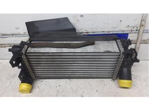 Intercooler FORD Focus III Turnier (--)