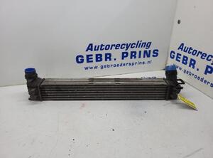 Intercooler RENAULT SCÉNIC III (JZ0/1_), RENAULT GRAND SCÉNIC III (JZ0/1_)