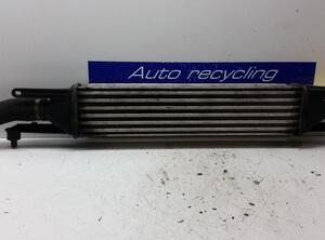 Intercooler FIAT GRANDE PUNTO (199_), FIAT PUNTO (199_), FIAT PUNTO EVO (199_)