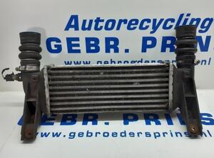 Intercooler FORD TRANSIT CONNECT (P65_, P70_, P80_)