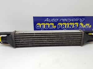 Intercooler FIAT GRANDE PUNTO (199_), FIAT PUNTO (199_), FIAT PUNTO EVO (199_)