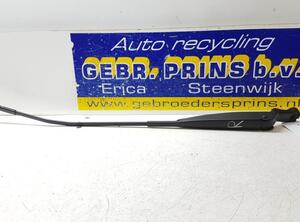 Wiper Arm FIAT 500 (312), FIAT 500 C (312), FIAT 500/595/695 (312), FIAT 500C/595C/695C (312)