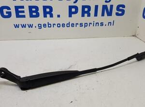 Wiper Arm FIAT 500 (312), FIAT 500 C (312), FIAT 500/595/695 (312), FIAT 500C/595C/695C (312)