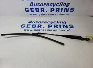 Wiper Arm FIAT 500 (312), FIAT 500 C (312), FIAT 500/595/695 (312), FIAT 500C/595C/695C (312)