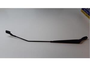 Wiper Arm RENAULT Twingo II (CN0)