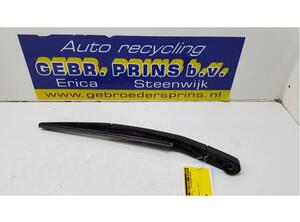 Wiper Arm FIAT Punto (199), FIAT Punto Evo (199), FIAT Grande Punto (199)