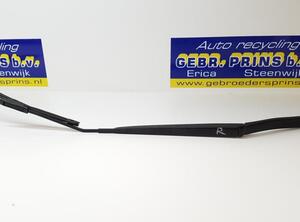 Wiper Arm RENAULT Captur I (H5, J5), RENAULT Clio IV (BH), RENAULT Clio III (BR0/1, CR0/1)