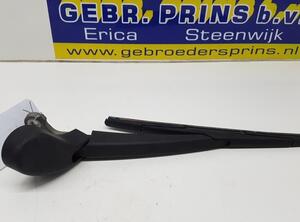 Wiper Arm FORD Focus III (--)