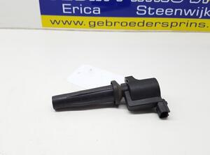 Ignition Coil FORD Galaxy (WA6), FORD S-Max (WA6)