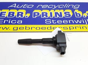 Ignition Coil RENAULT Captur I (H5, J5), RENAULT Clio IV (BH)