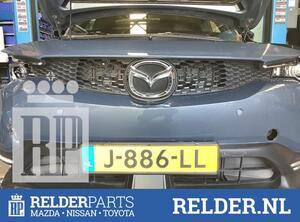 Radiator Grille MAZDA MX-30 (DR)