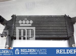 Intercooler NISSAN PATHFINDER III (R51)