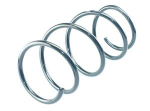 Coil Spring BMW 3er (E46), BMW 3er Cabriolet (E46), BMW 3er Coupe (E46)